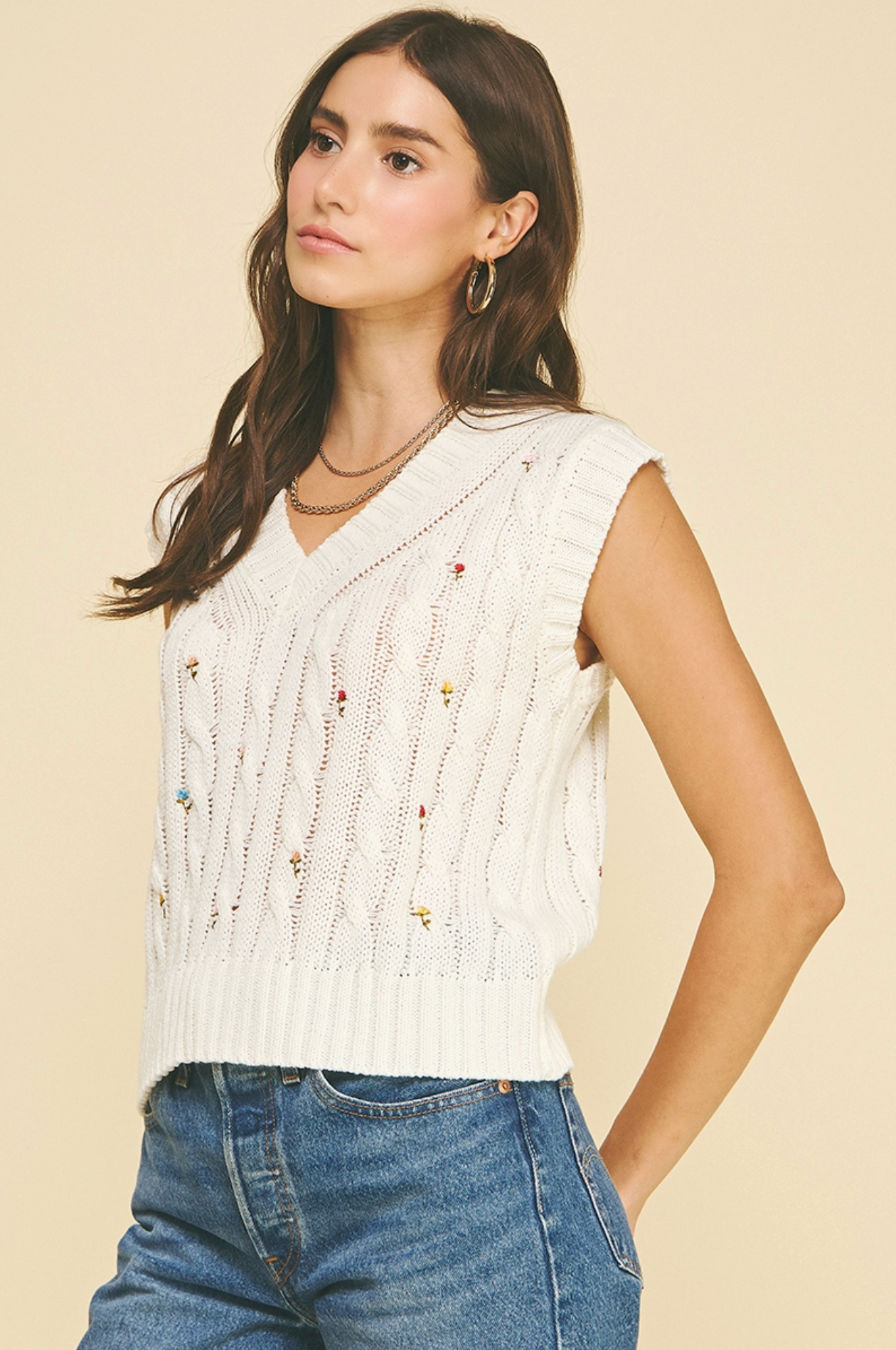 Common Notion Sweater Vest